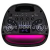 Колонка 08" (30-29 DANCE BOX 1000 NEW) динамик 2шт/8" ElTRONIC с TWS